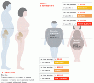 obesità addominale